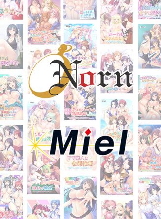 【まとめ買い】【福袋】Norn / Miel新年から「ハーレム」よりどり5本1，500円お買い得パック♪ - アダルトPCゲーム