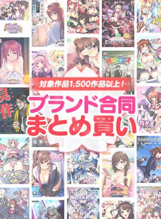 【まとめ買い】ブランド合同！1，500作品から10本選んで10，000円セット - アダルトPCゲーム