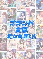 【まとめ買い】ブランド合同！2，000作品以上から10本選んで10，000円セット - アダルトPCゲーム