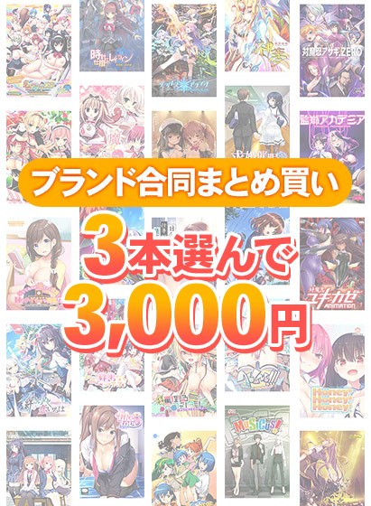 【まとめ買い】ブランド合同！1，900作品以上から3本選んで3，000円セット - アダルトPCゲーム