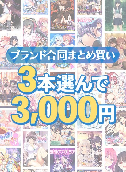 【まとめ買い】1，800作品以上から3本選んで3，000円！冬のブランド合同セット - アダルトPCゲーム