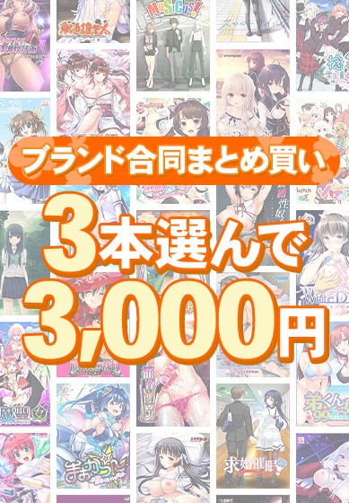 【まとめ買い】1，800作品以上から3本選んで3，000円！ブランド合同セット - アダルトPCゲーム