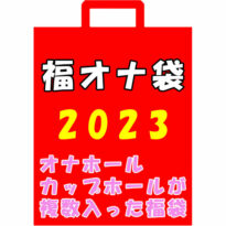 福オナ袋 2023 オナホール・オナカップが入った福袋