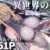 異世界の女たち-総集編-