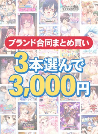 【まとめ買い】1，500作品以上対象！3本選んで3，000円！秋のブランド合同まとめ買い - アダルトPCゲーム