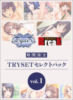 【期間限定】TRYSETセレクトパックvol.1 - アダルトPCゲーム