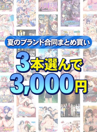 【まとめ買い】1，600作品以上から3本選んで3，000円！夏のブランド合同まとめ買い - アダルトPCゲーム