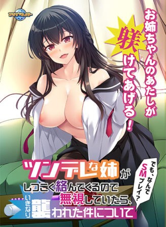 ツンデレな姉がしつこく絡んでくるので無視していたら、いきなり襲われた件について〜でも、なんでSMプレイ？〜 - アダルトPCゲーム