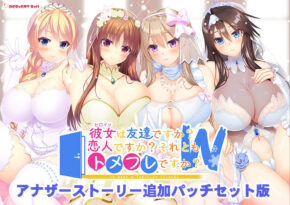 彼女（ヒロイン）は友達ですか？ 恋人ですか？ それともトメフレですか？ W（ダブル） アナザーストーリー追加パッチセット版 - アダルトPCゲーム