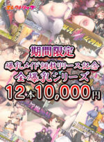 【期間限定】爆乳メイド調教リリース記念 全爆乳シリーズ12本で10，000円 - アダルトPCゲーム