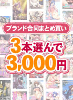 【まとめ買い】1，800作品以上から3本選んで3，000円！冬のブランド合同まとめ買い - アダルトPCゲーム
