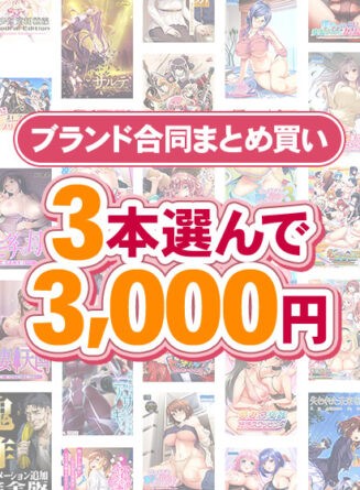 【まとめ買い】1，700作品以上から3本選んで3，000円！冬のブランド合同まとめ買い - アダルトPCゲーム