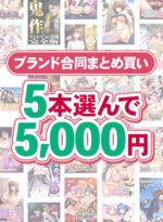 【まとめ買い】1，800作品以上から5本選んで5，000円！冬のブランド合同まとめ買い - アダルトPCゲーム