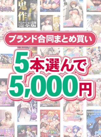 【まとめ買い】1，800作品以上から5本選んで5，000円！冬のブランド合同まとめ買い - アダルトPCゲーム