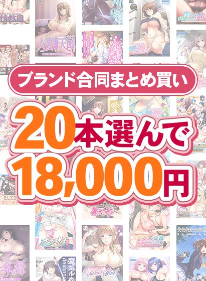 【まとめ買い】1，800作品以上から20本選んで18，000円！冬のブランド合同まとめ買い - アダルトPCゲーム