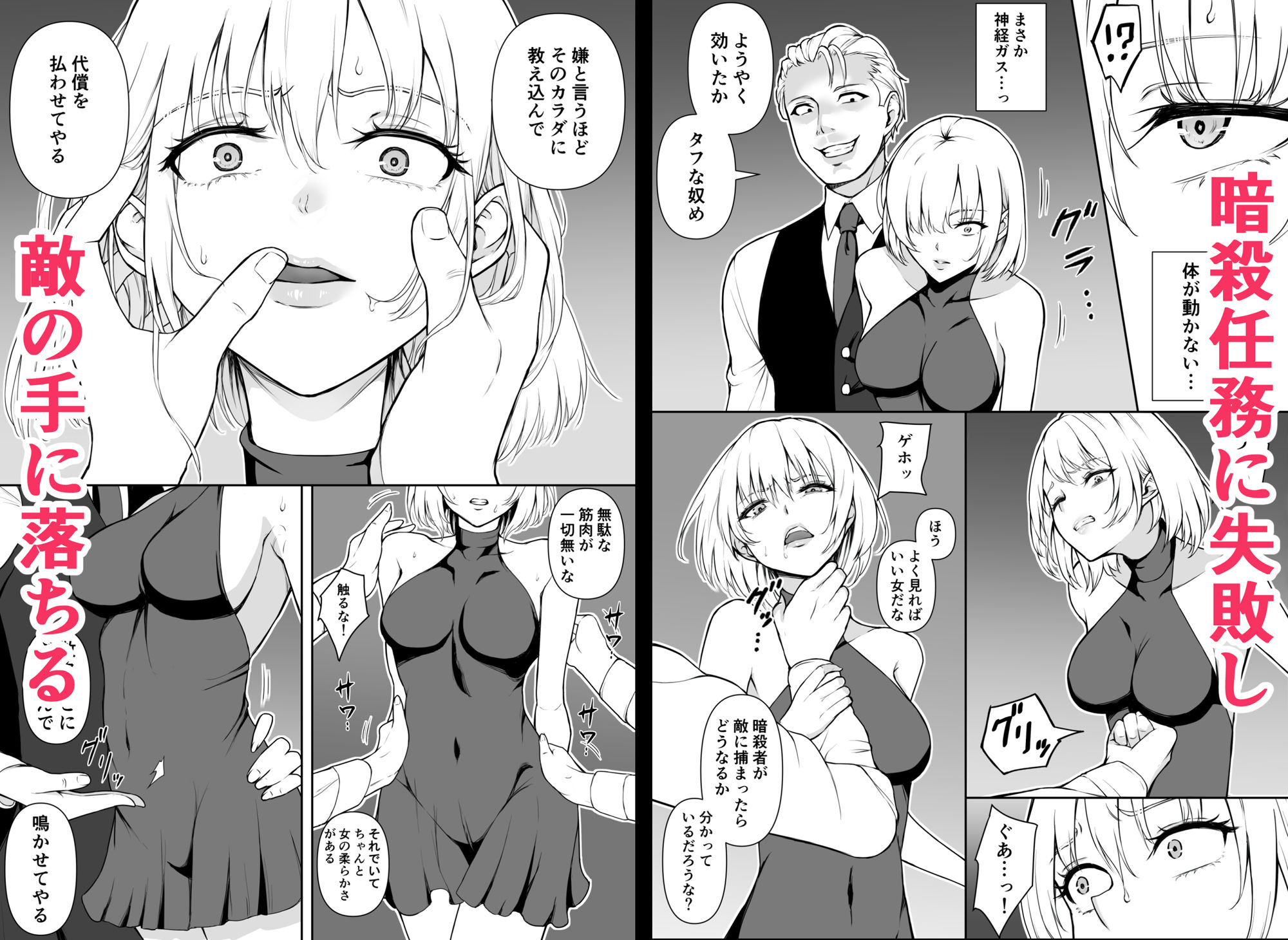女アサシン辱 -