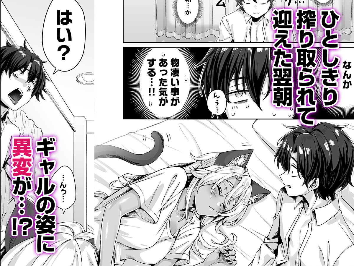 ギャル猫娘がうちに住み着いてなぜか毎日3P三昧になってしまう話 -