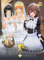 カスタムオーダーメイド3D2＆2.5 ＋ GP-03 - アダルトPCゲーム