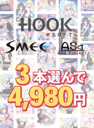 【まとめ買い】HOOKSOFT・SMEE・ASaProject選べるFD3本4，980円 - アダルトPCゲーム
