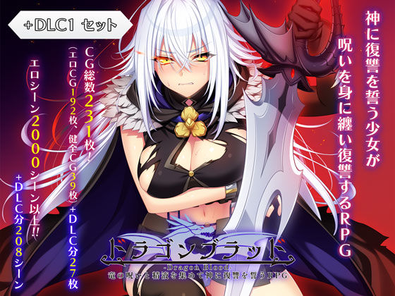 ドラゴンブラッド＋追加DLC1セット - 同人